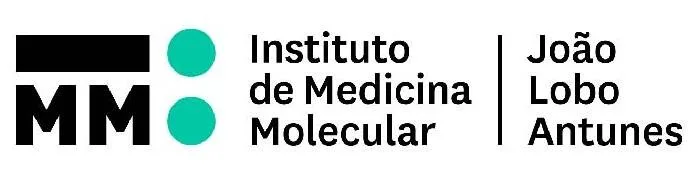 Logo-IMM-4